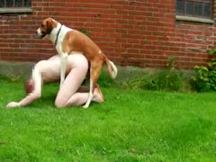 Dog lover humped by boxer in crazy outdoor animal sex video